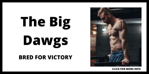 Online Fitness Coaching Packages - The Big Dawgs